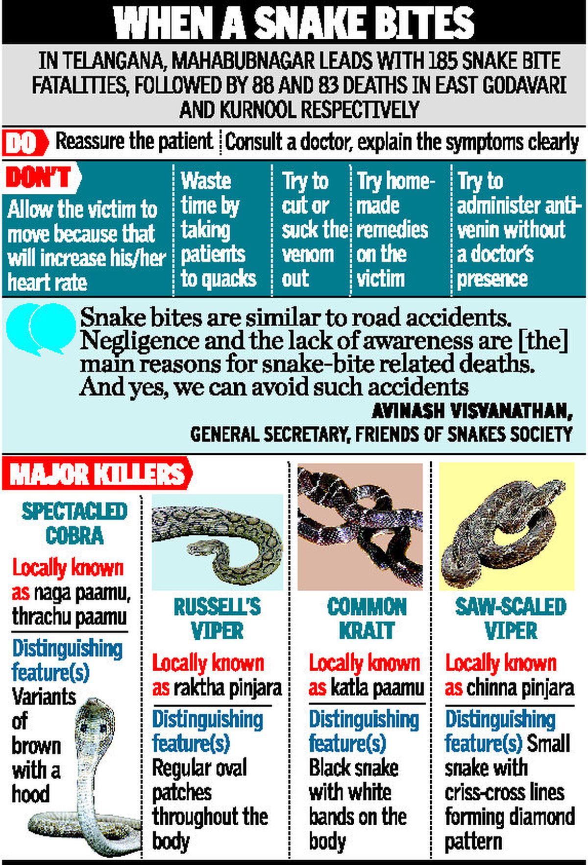 Snakebite deaths highest in AP, Telangana The Hindu