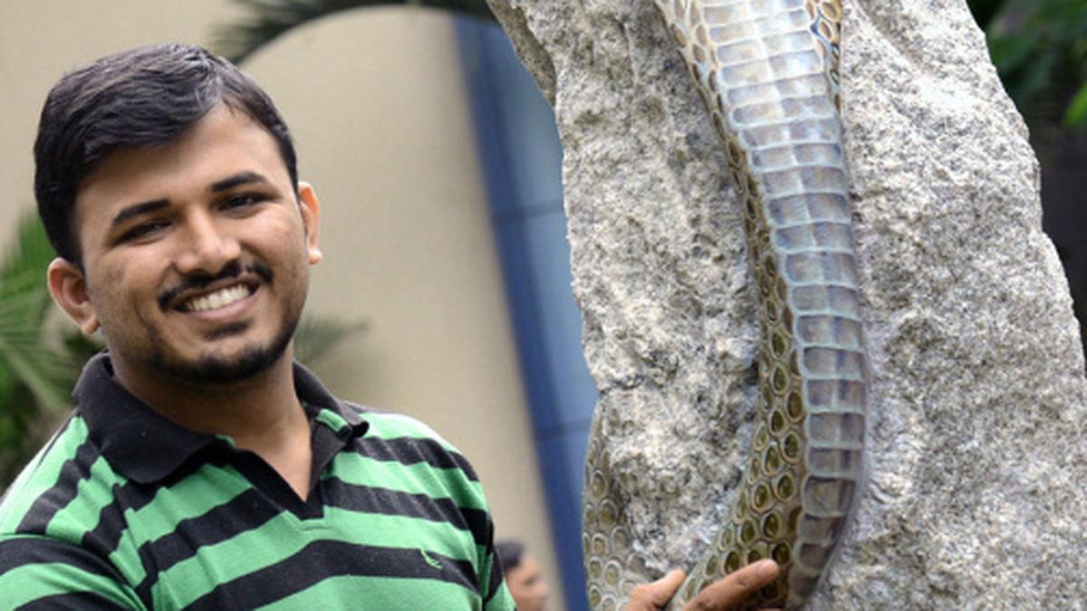 In IT parks, it helps if your CV includes expertise in handling snakes