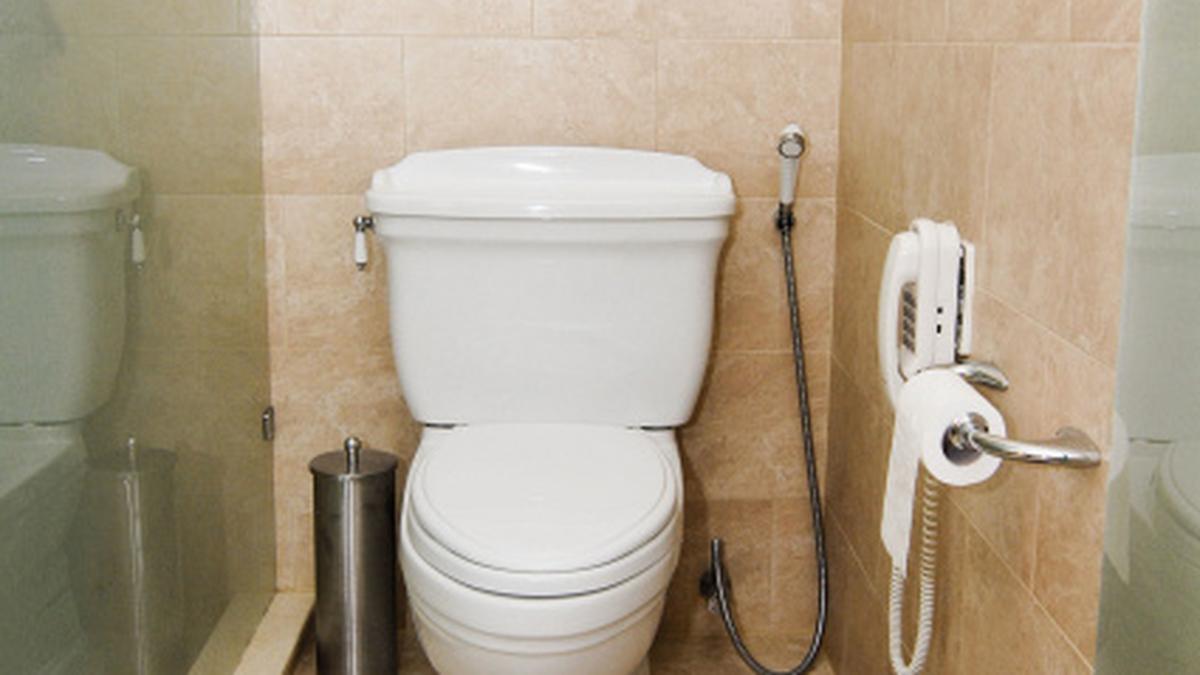 Flush out infection The Hindu