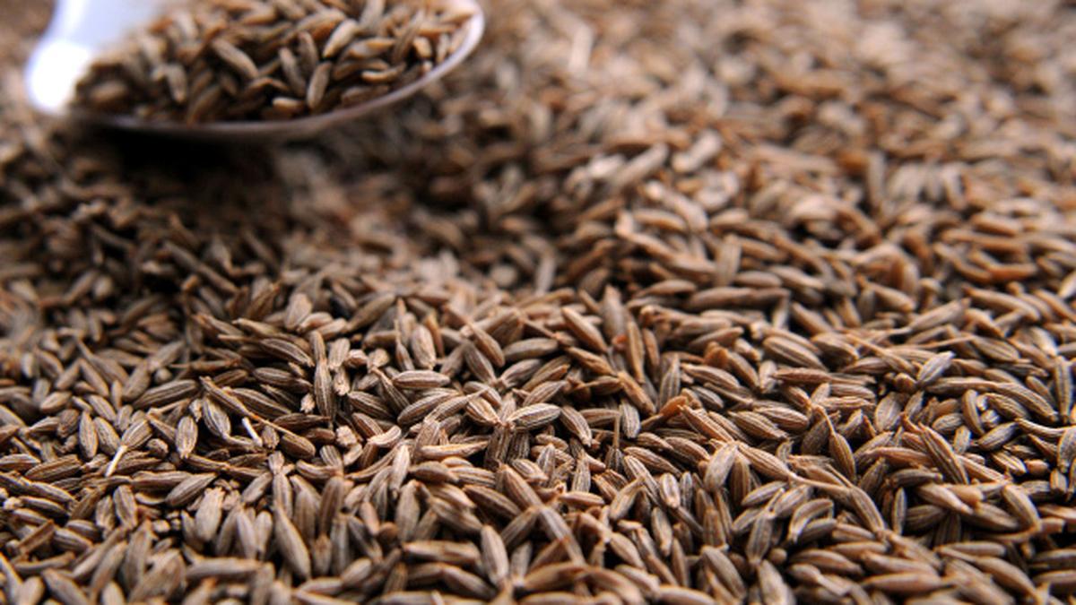 An Egyptian native in India The Hindu