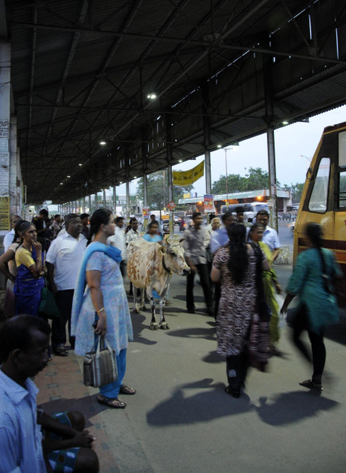 New lighting system at Chromepet bus stop - The Hindu