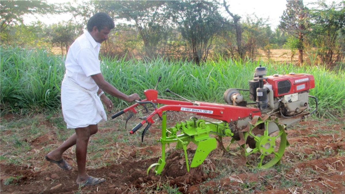 Efficient, labour-saving machine for harvesting and cleaning turmeric ...