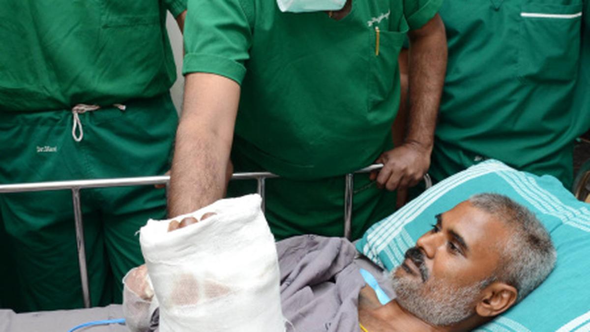 Rare palm transfer for U.P. contract worker The Hindu