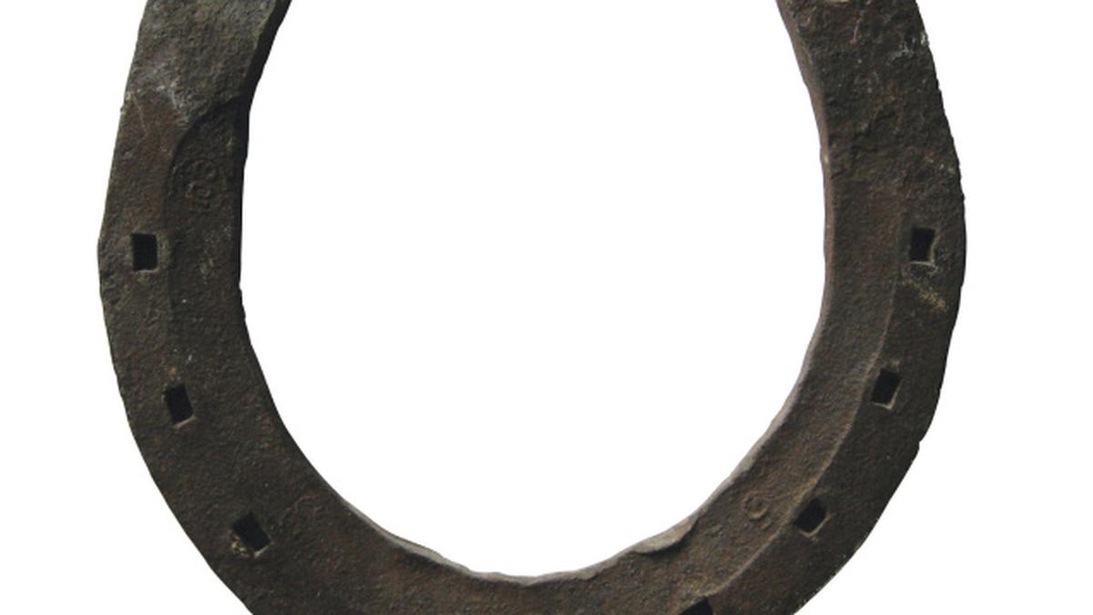 Gallop your way to a good vocabulary The Hindu