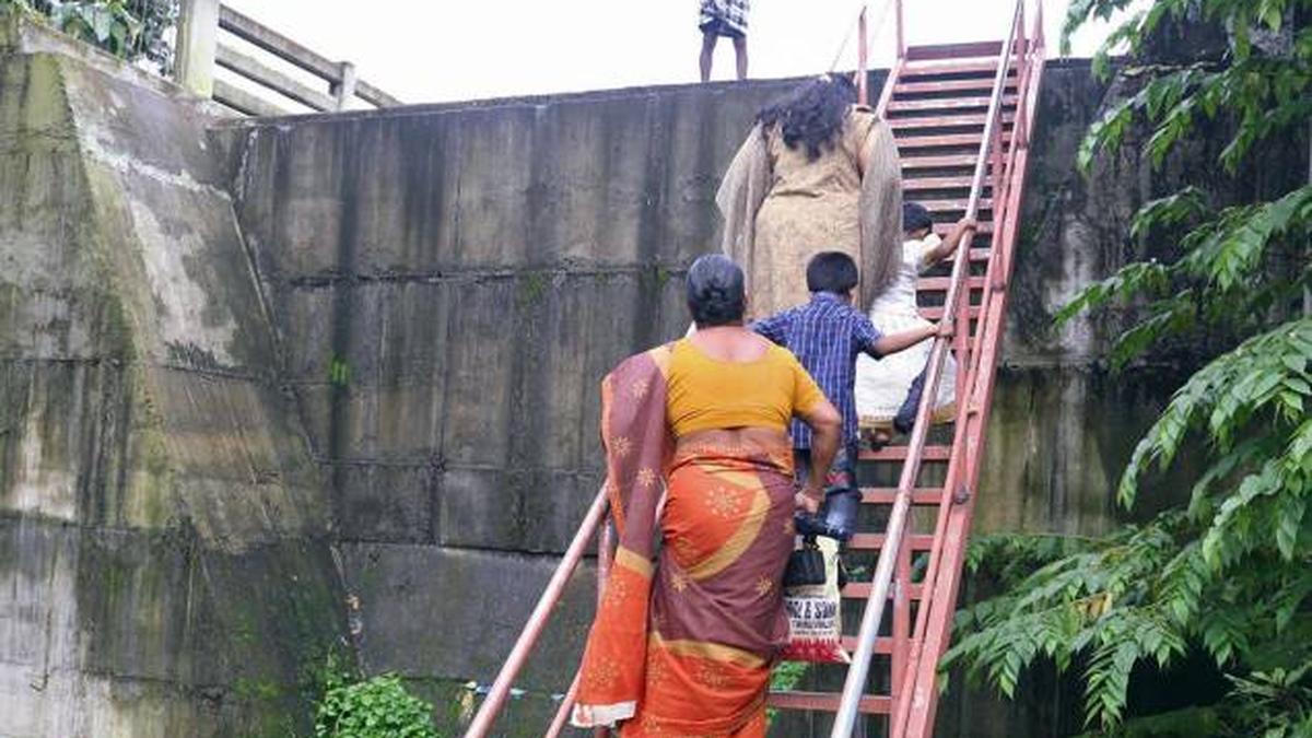 A ‘ladder’ to cross Manimala river - The Hindu