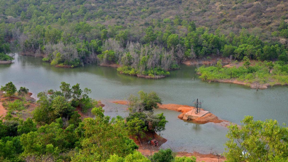 Expansion of Kambalakonda ecotourism park mooted The Hindu