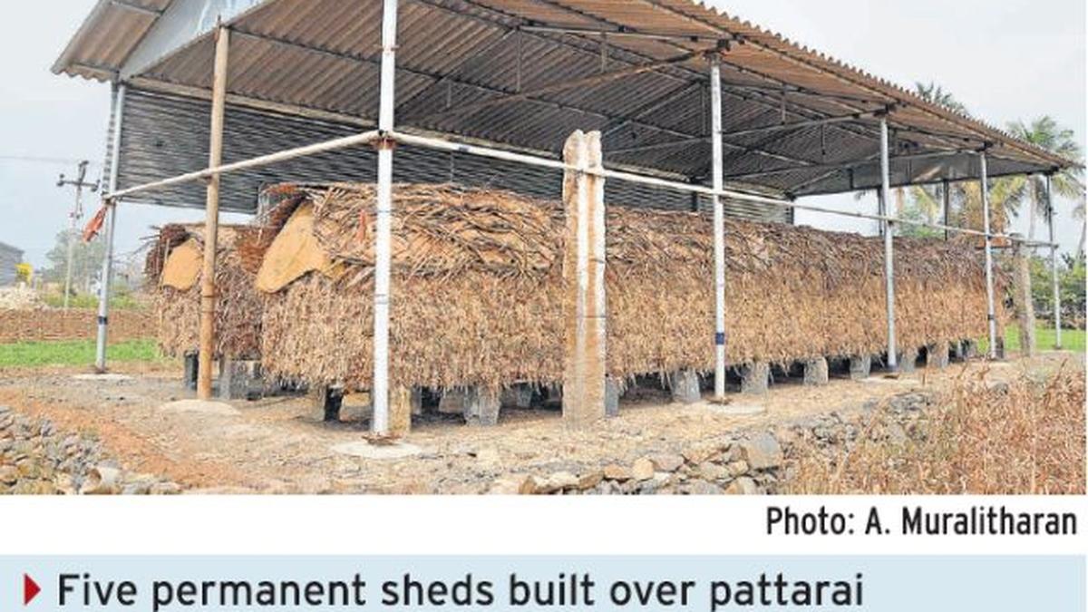 Duration of onion storage gets doubled - The Hindu