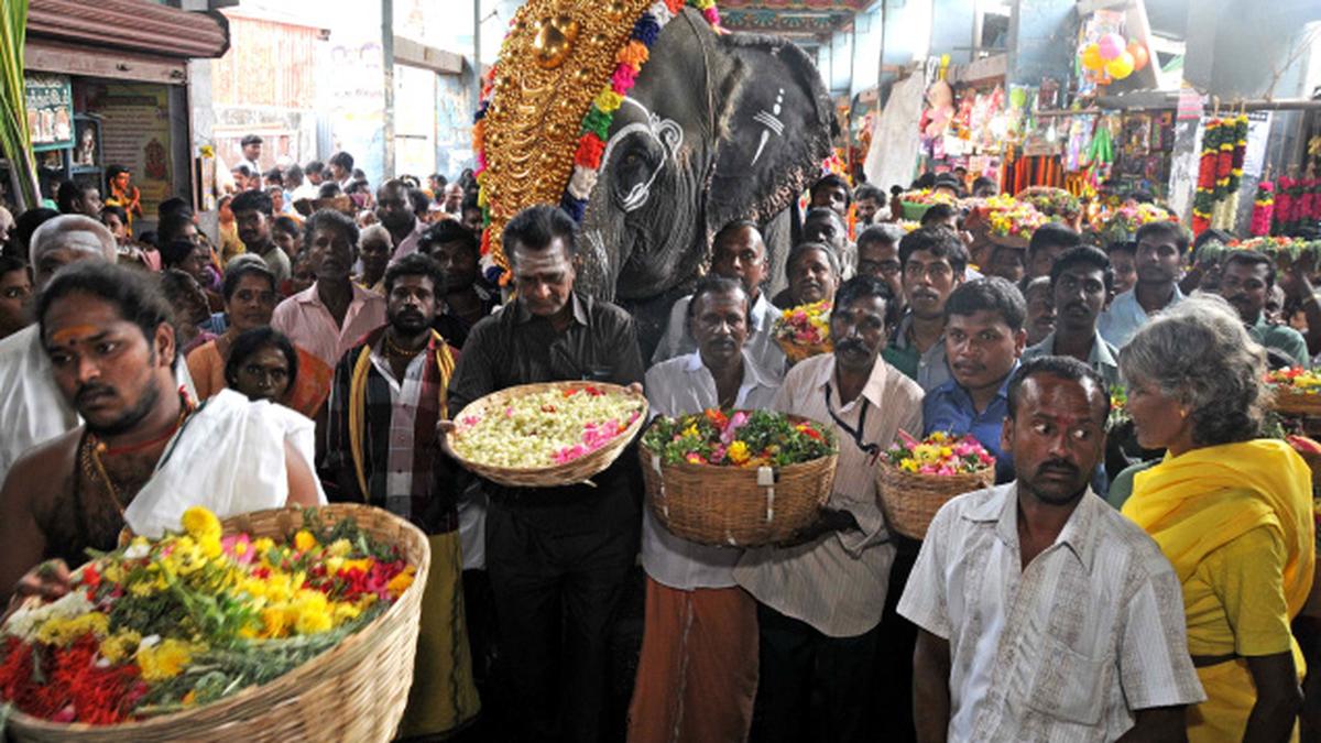 Poochorithal festival at Samayapuram The Hindu