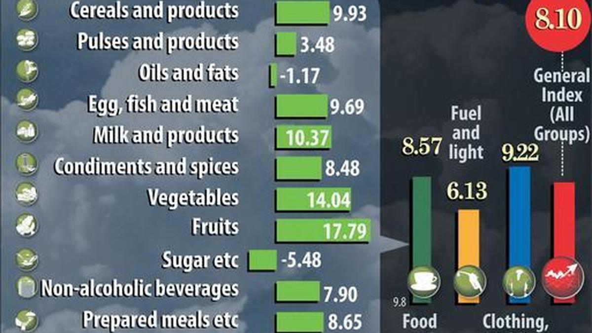 Retail inflation slows to 25month low of 8.1 The Hindu