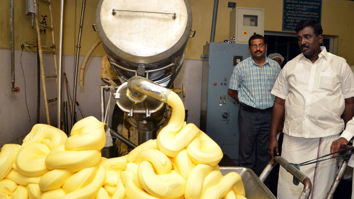 Work in progress at Aavin to boost milk handling capacity The Hindu