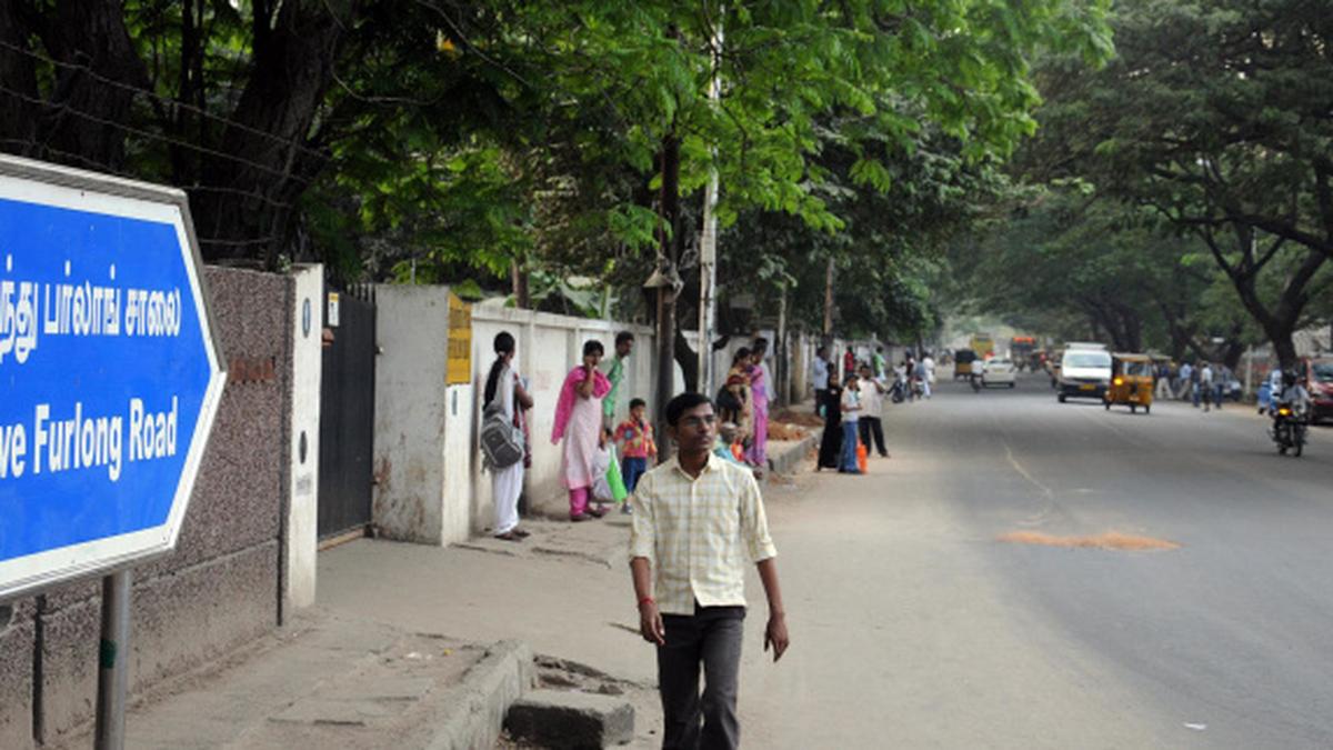 Galloping development The Hindu