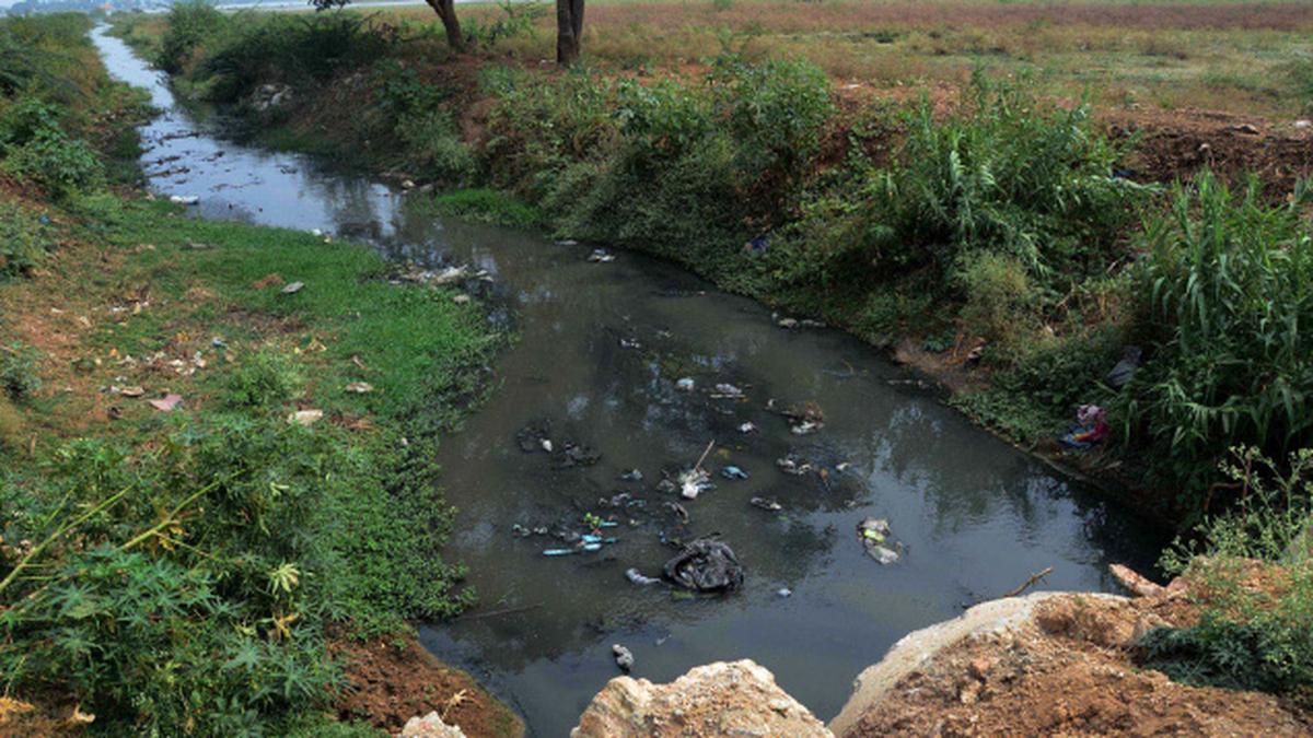 Effluents, solid waste pollute water in Ukkadam Big Tank The Hindu