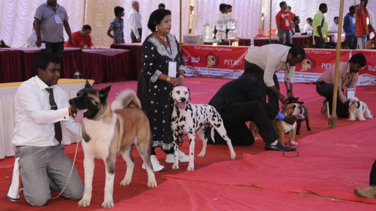 First open dog show at Nehru Maidan The Hindu
