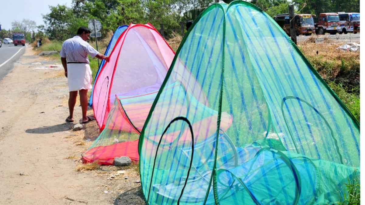 Warehousing Corporation to study mosquito menace in Kochi The Hindu