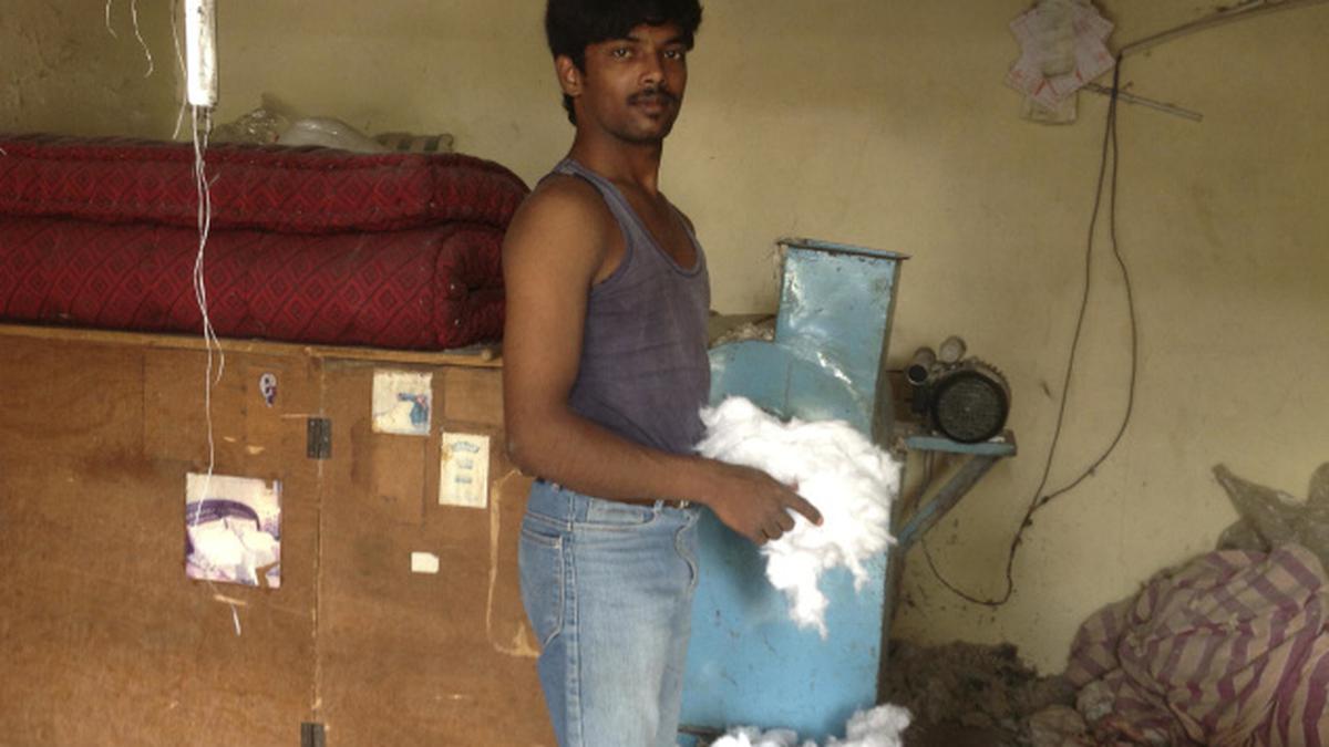 Cotton mattress near outlet me