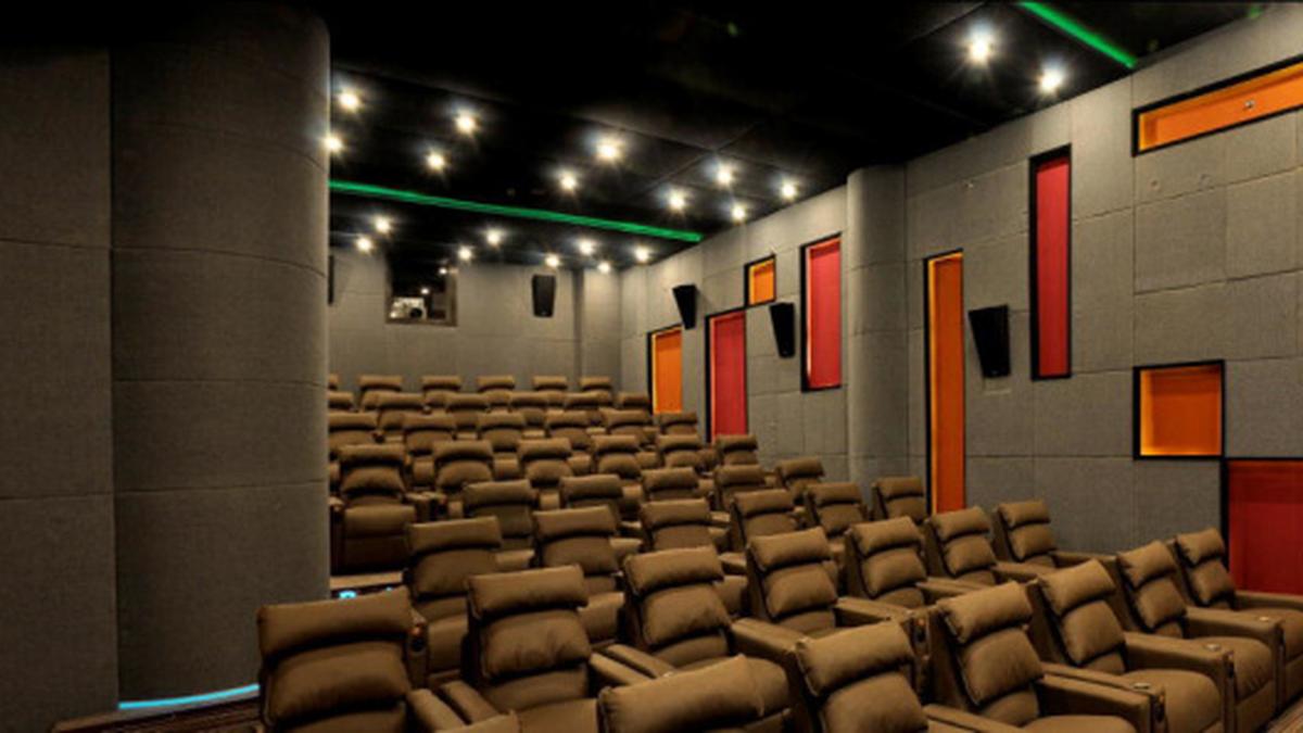 In multiplex mode - The Hindu