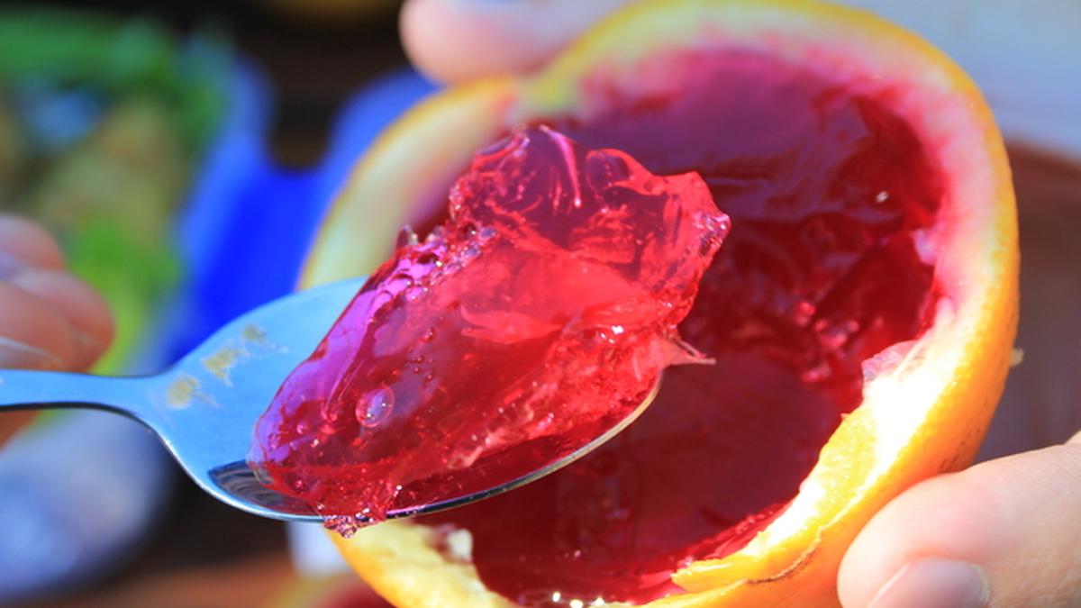 Jellymaking protein could help make cheap fuel cells The Hindu