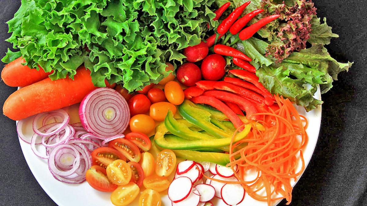 Maintenance diet The Hindu