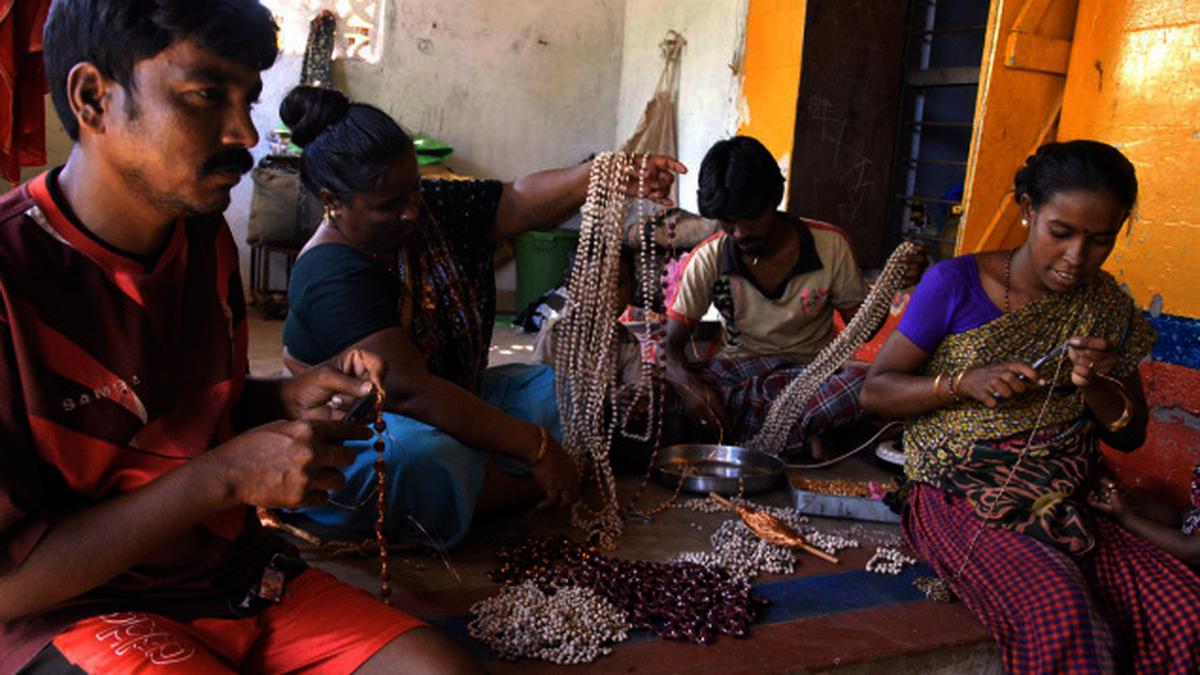Cabinet Approves Addition Of Four Tribes In Himachal Tamil Nadu 