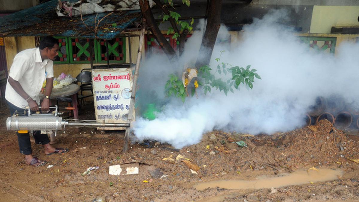 Fogging operations resume in Chennai The Hindu