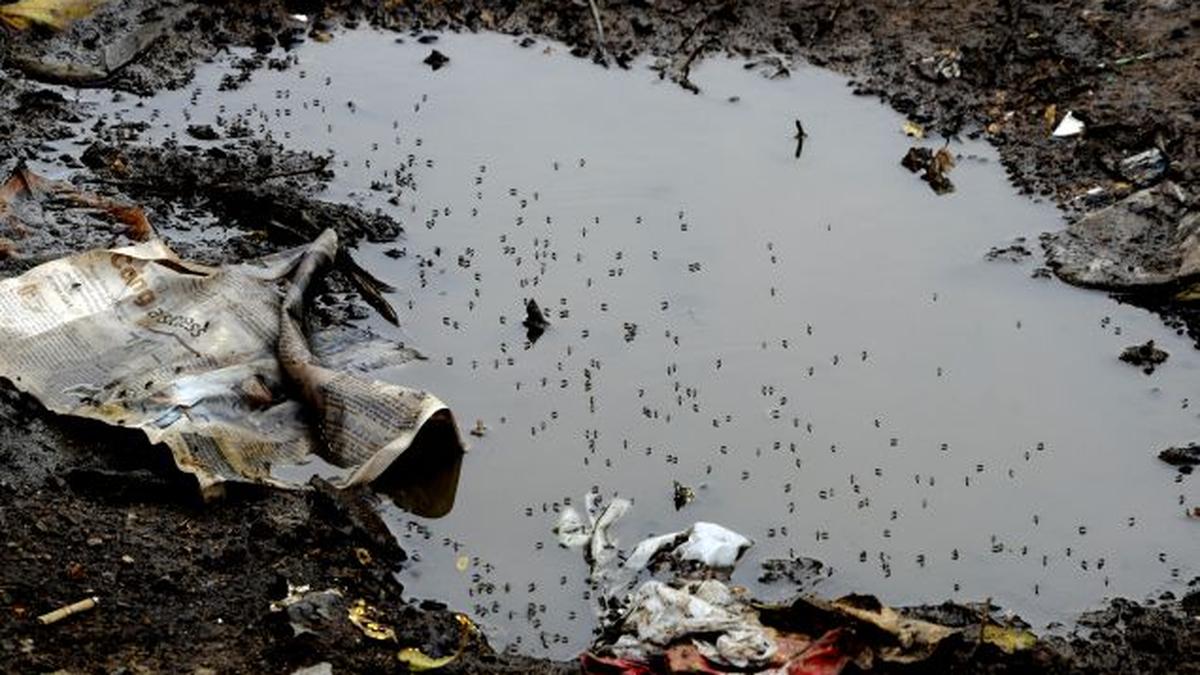 Chennai Corporation's battle against mosquitoes is all buzz, no bite