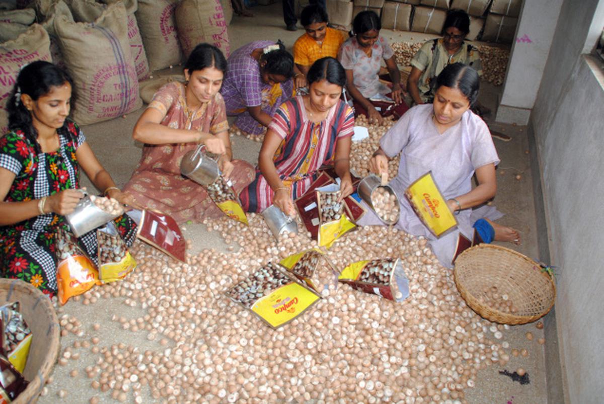 campco-to-revise-production-cost-in-karnataka-the-hindu