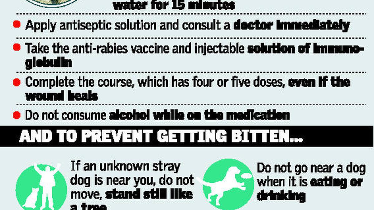 5 doses over days, keep rabies away - The Hindu