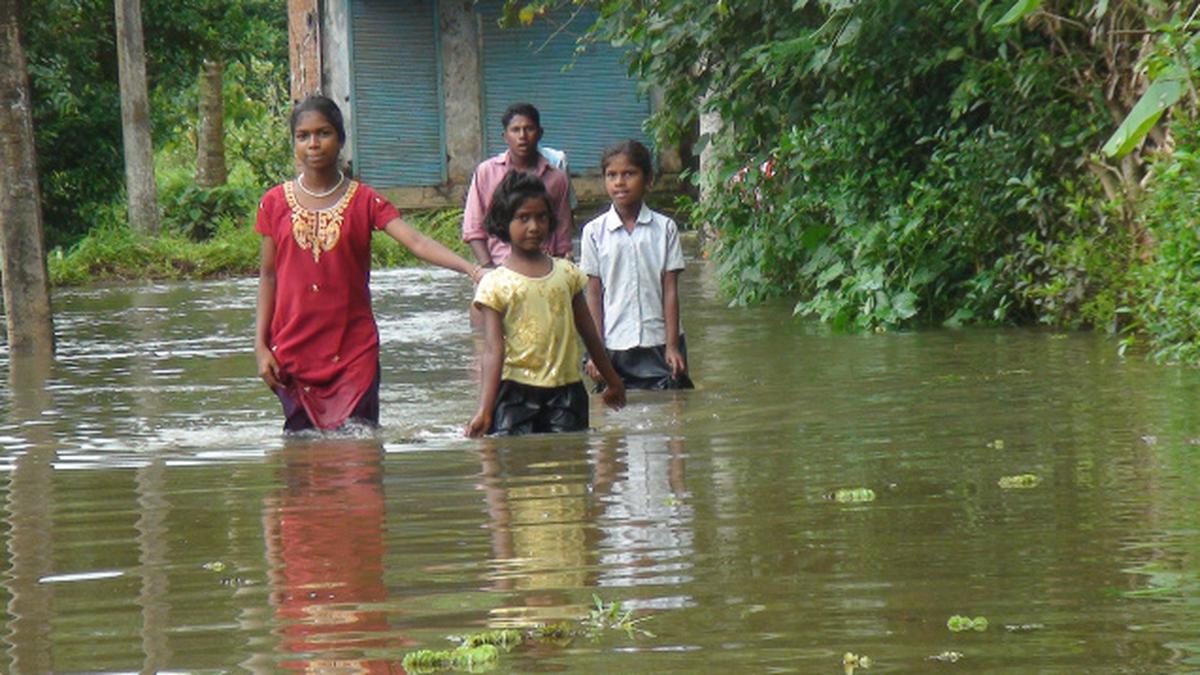 Heavy rain damages many houses - The Hindu