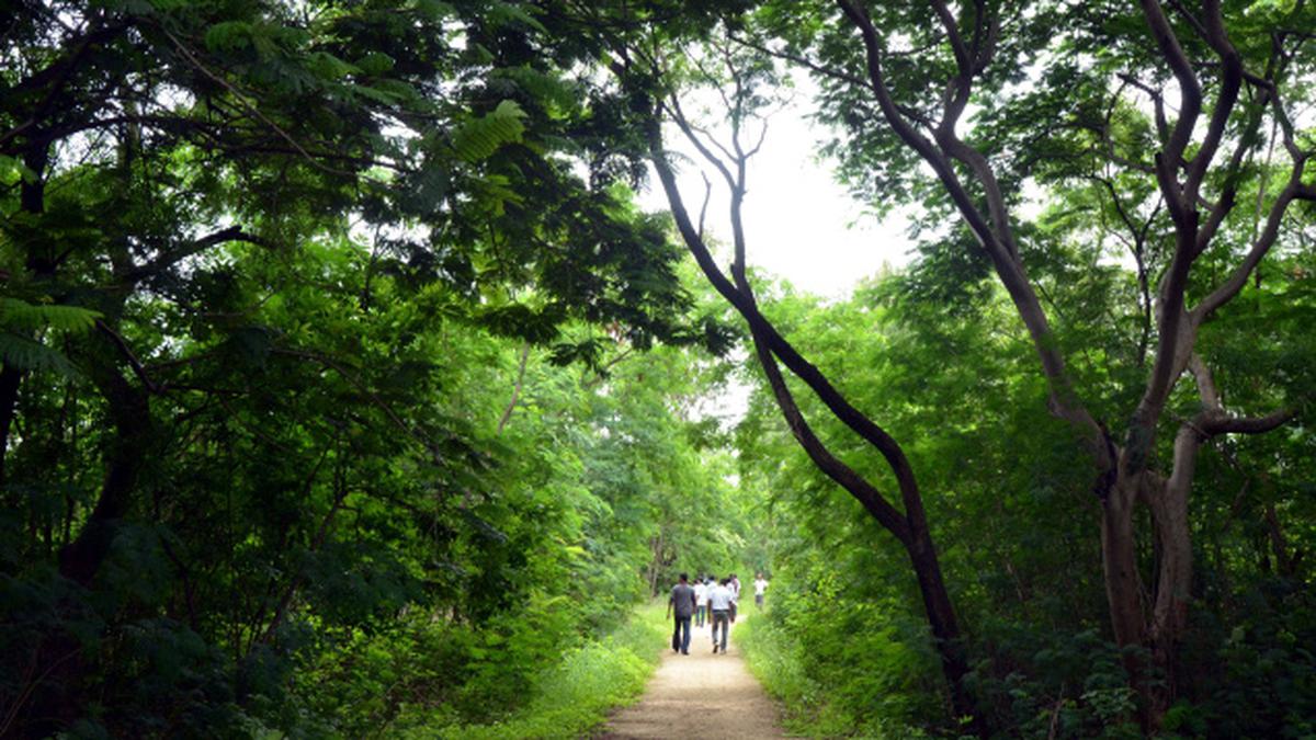 Government urged to save KVBR Botanical Garden - The Hindu
