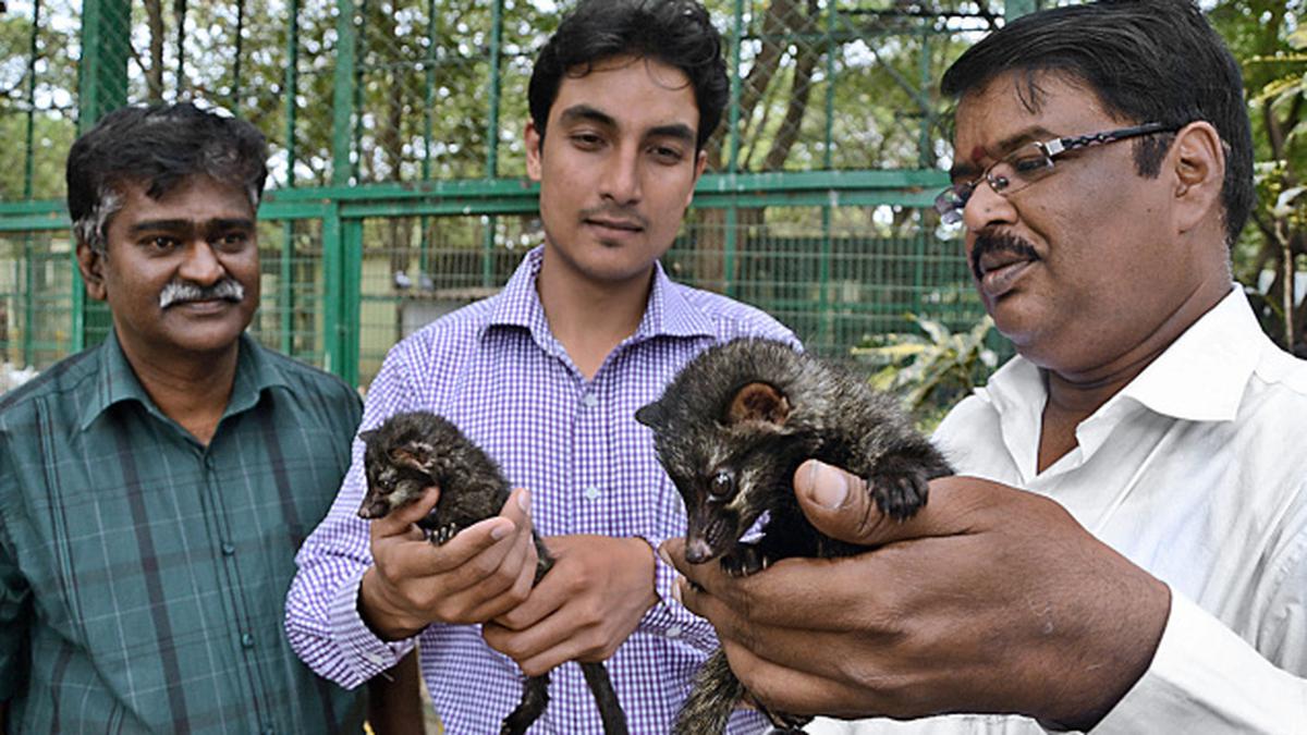 Afghan Vet Visits Coimbatore Zoo - The Hindu