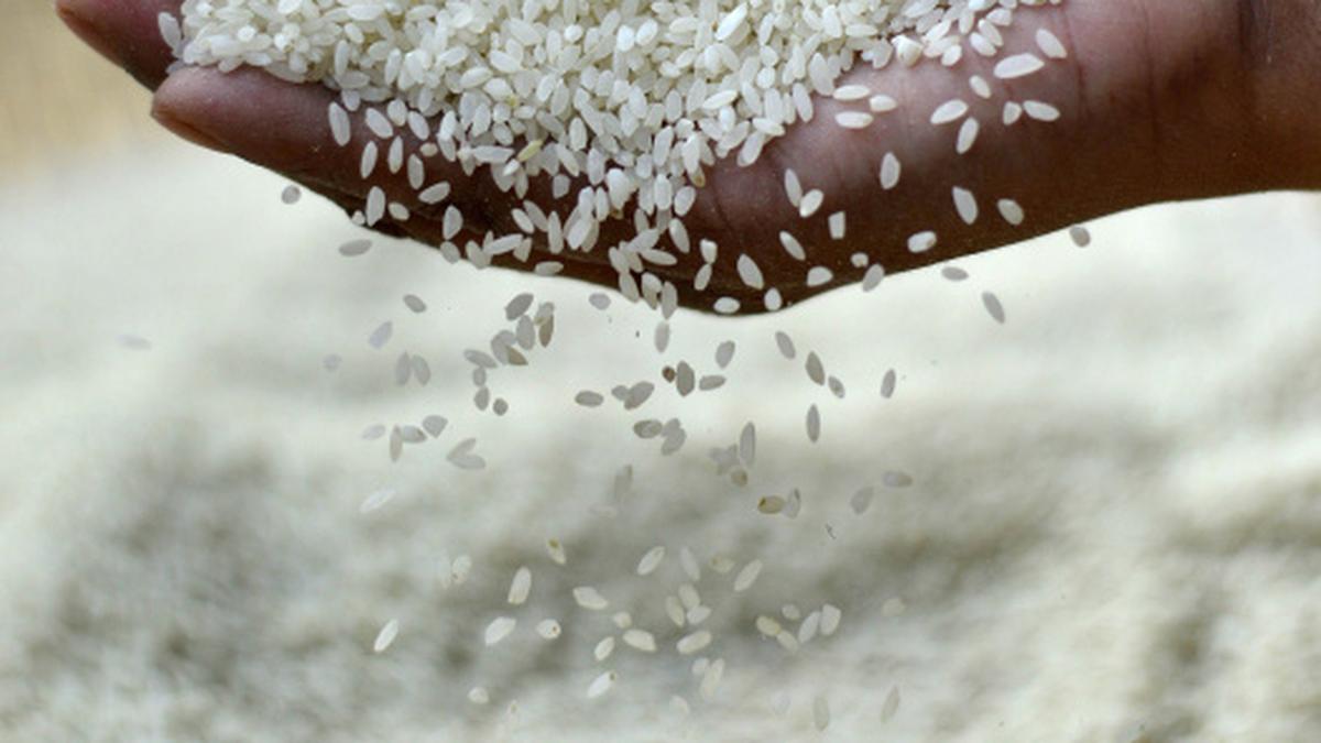 BPL rice bowls to overflow from July 10 - The Hindu