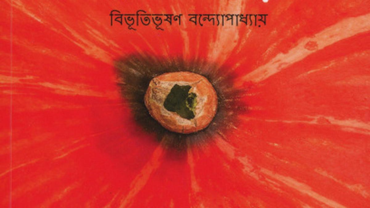 On the shelf Malayalam The Hindu