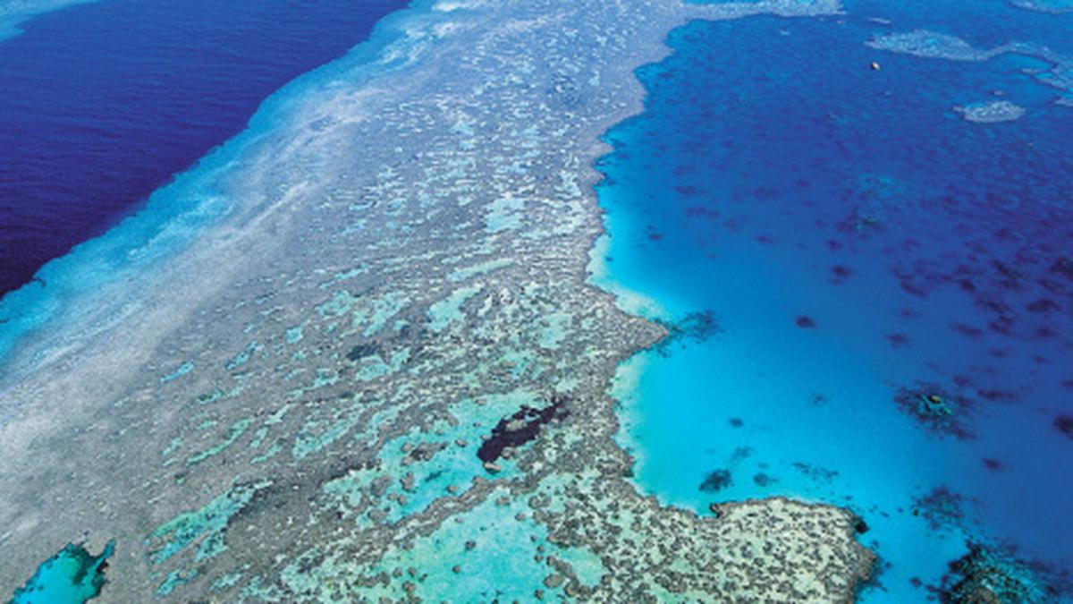 UNESCO to increase pressure on Australia to conserve Great Barrier Reef ...