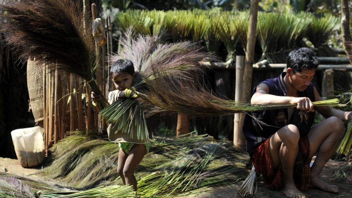 Sweeping the hillside The Hindu