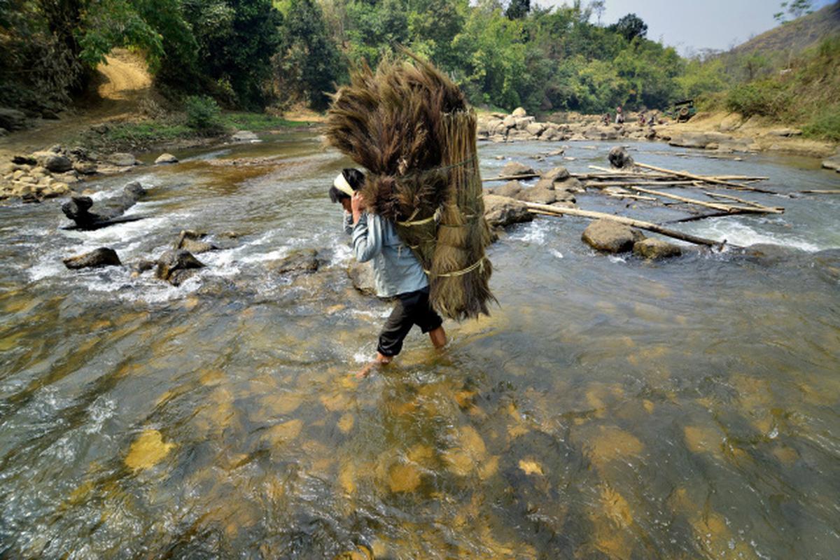 Photo file Sweeping the hillside The Hindu