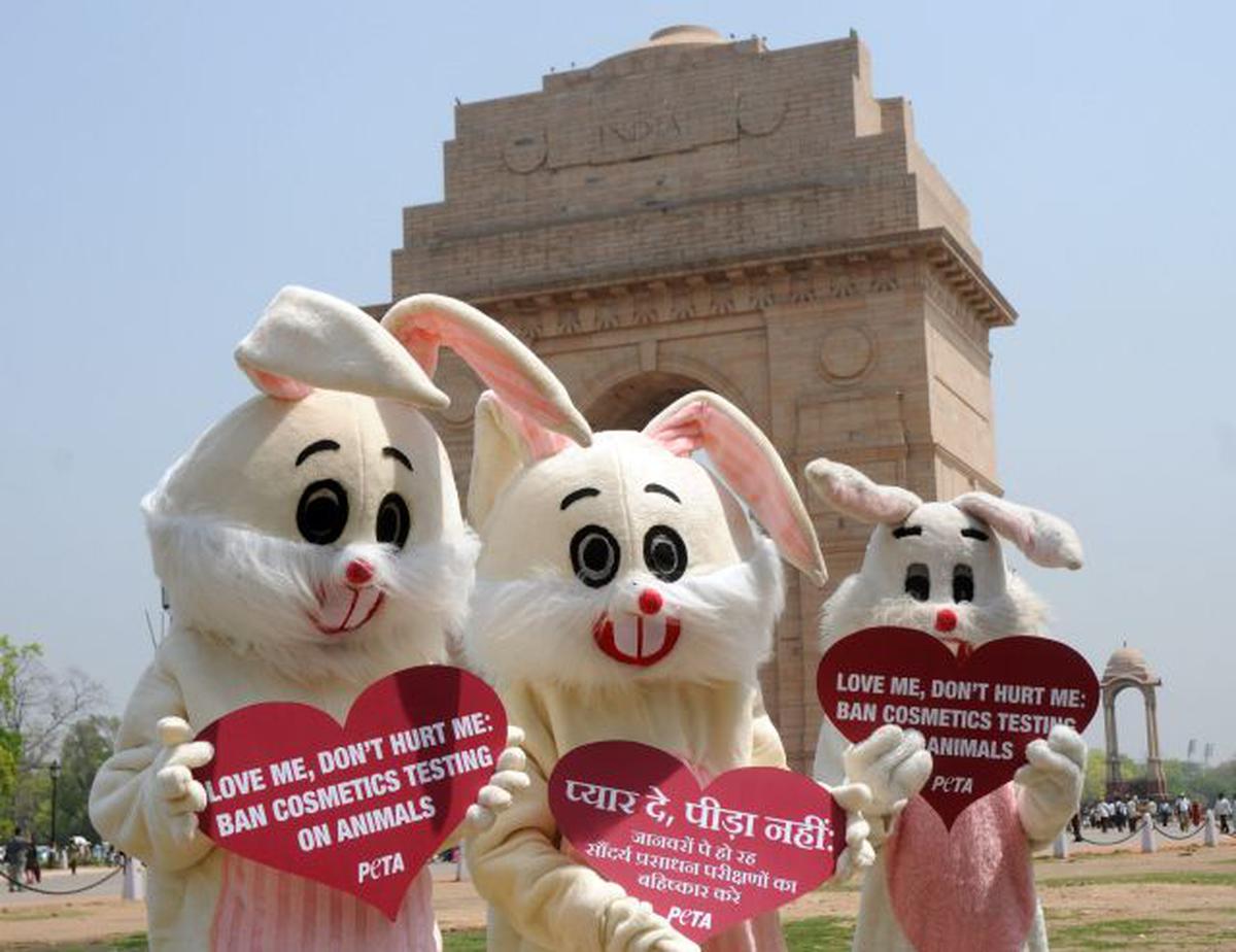 India bans testing of cosmetics on animals - The Hindu