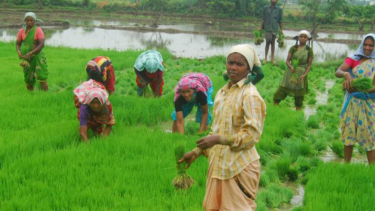 Farm sector to lose 4 million workers in 12th Plan period - The Hindu