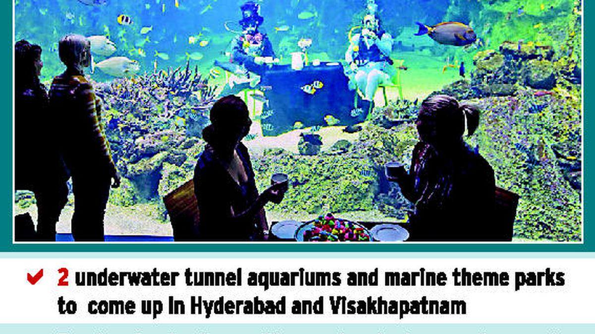 Underwater aquariums to boost tourism The Hindu