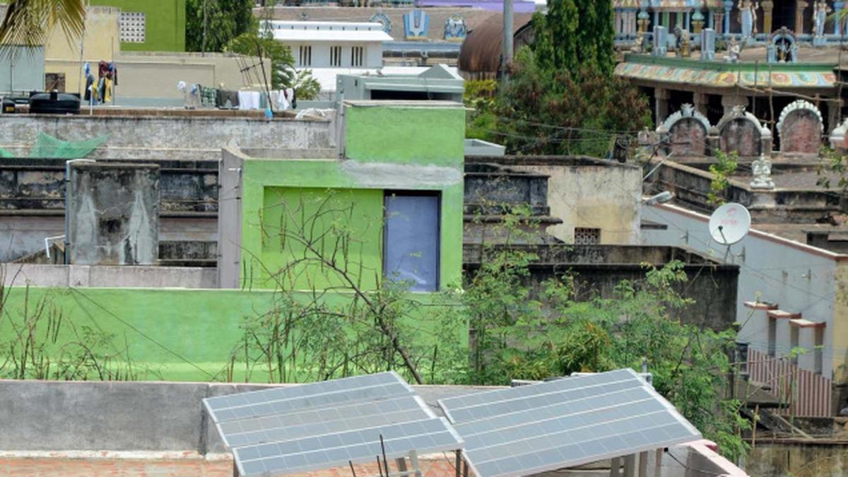 Town panchayat takes a green step - The Hindu