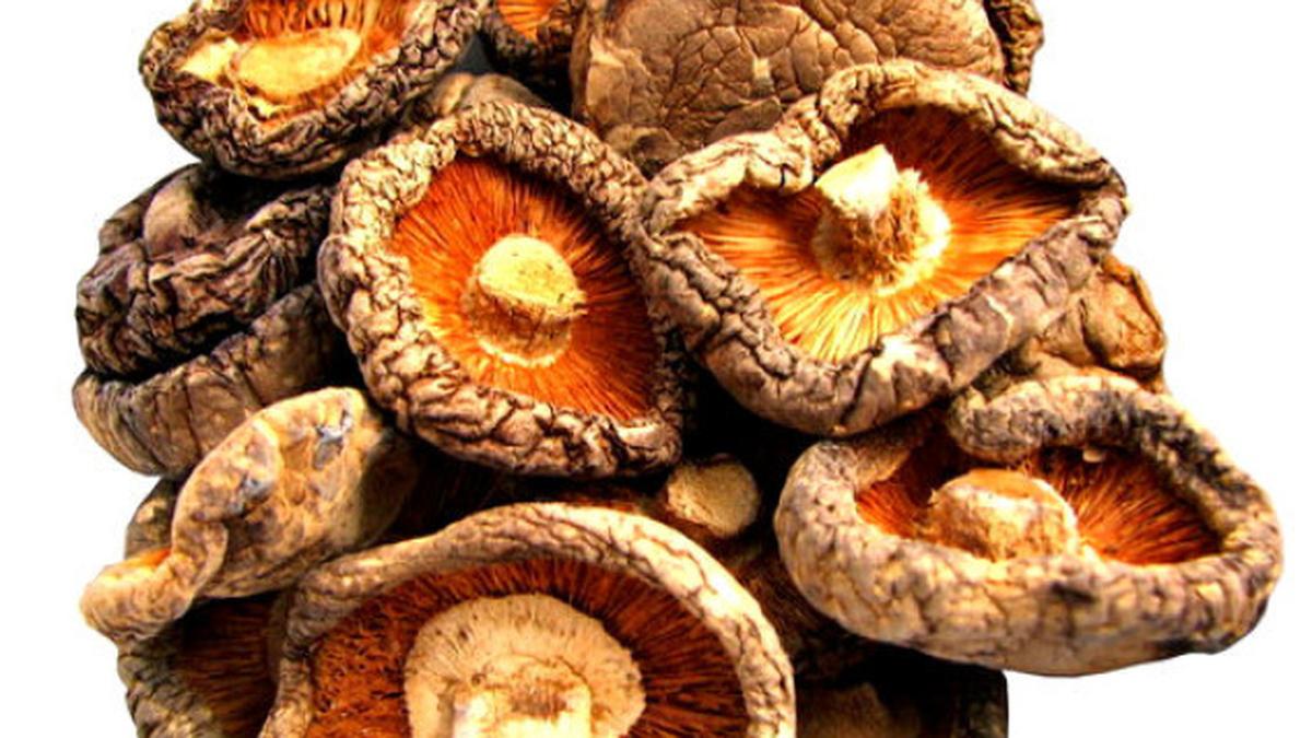 Shiitake with an Indian twist The Hindu