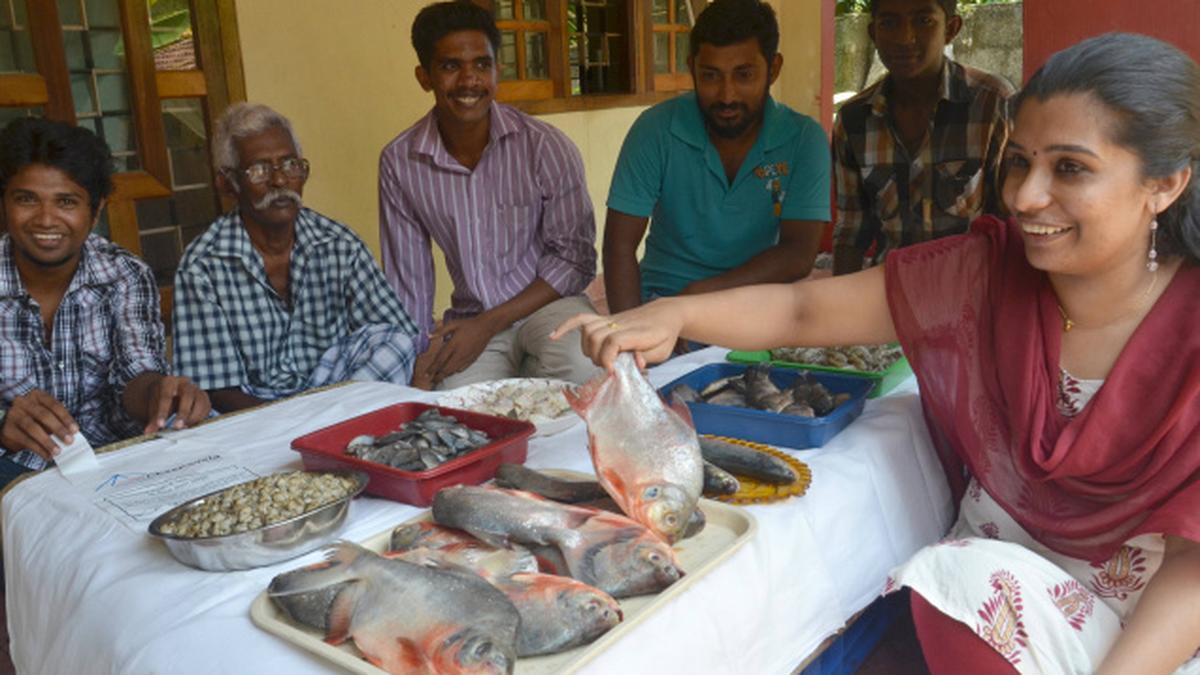 Seafood just a click away The Hindu