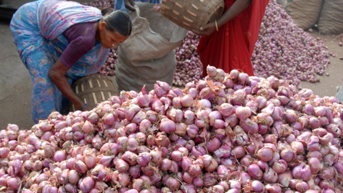 Small onions in big demand The Hindu