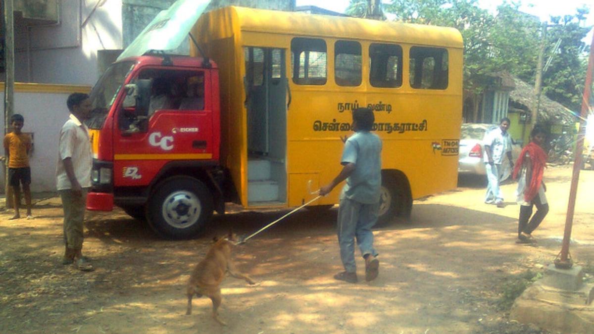 More vehicles to deal with stray dog menace The Hindu