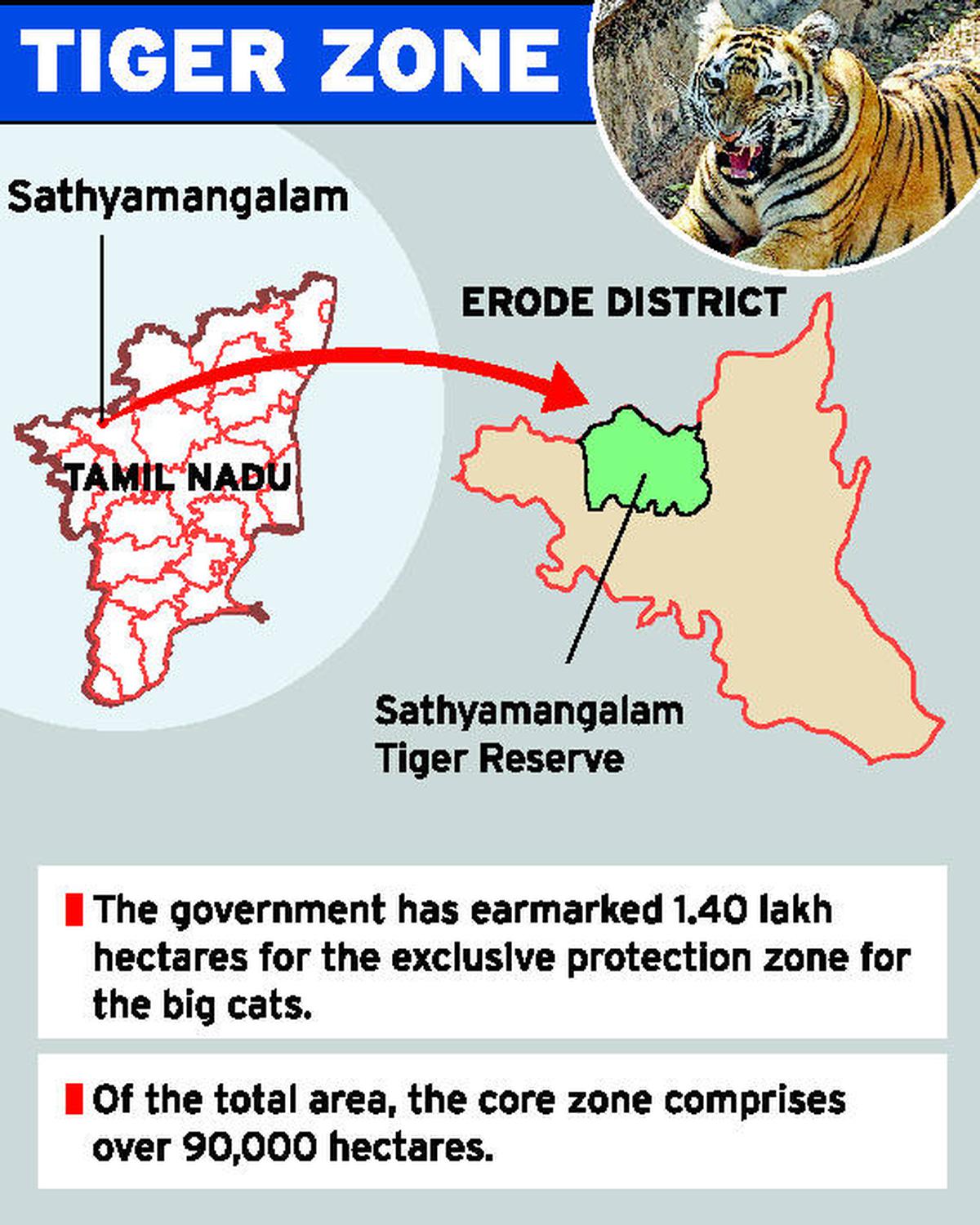 Sathyamangalam Forest declared Tiger Reserve | Tamil Nadu News - The Hindu