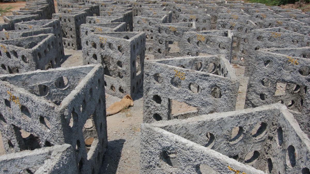 Artificial reefs to boost fish culture around city Biology Diagrams
