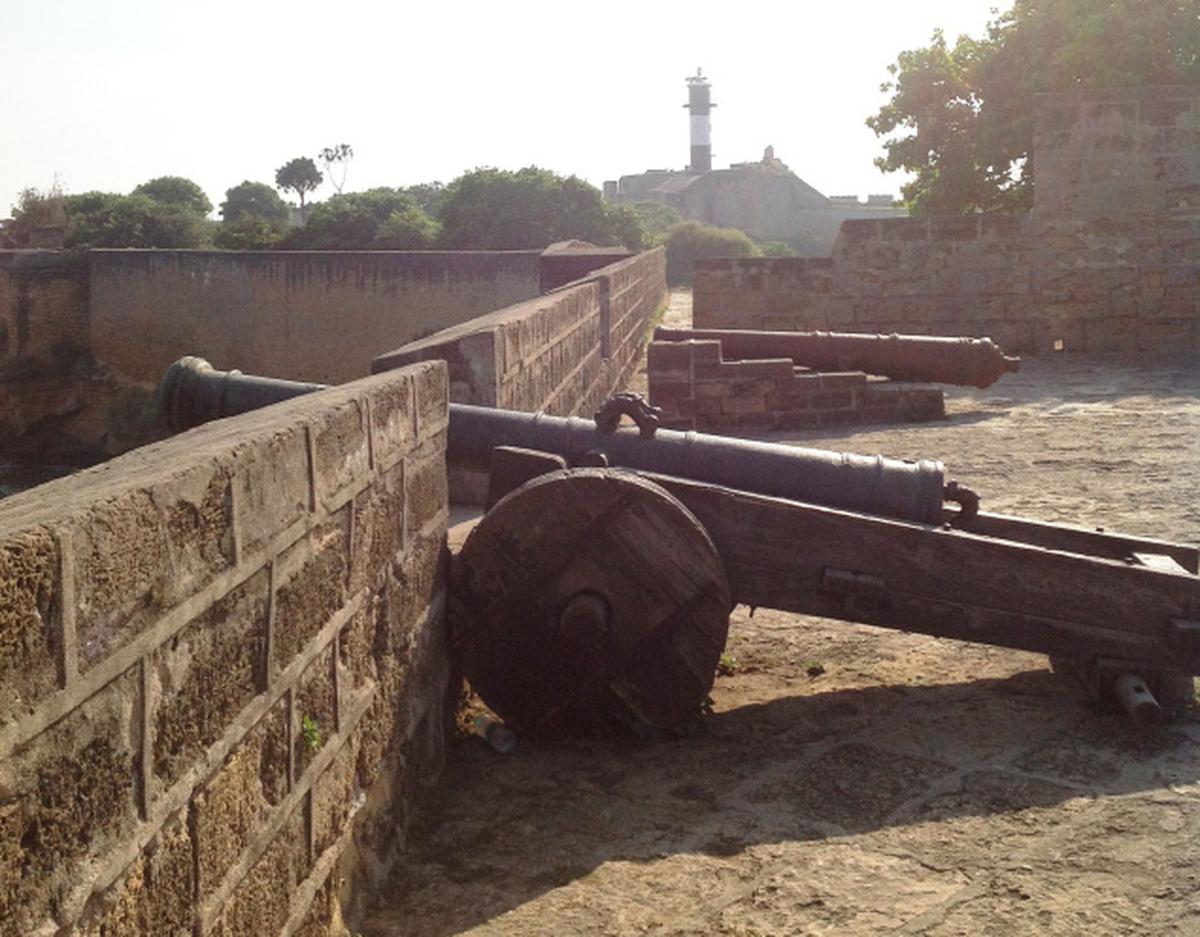 Eight lions captured near Gujarat's Jetpur