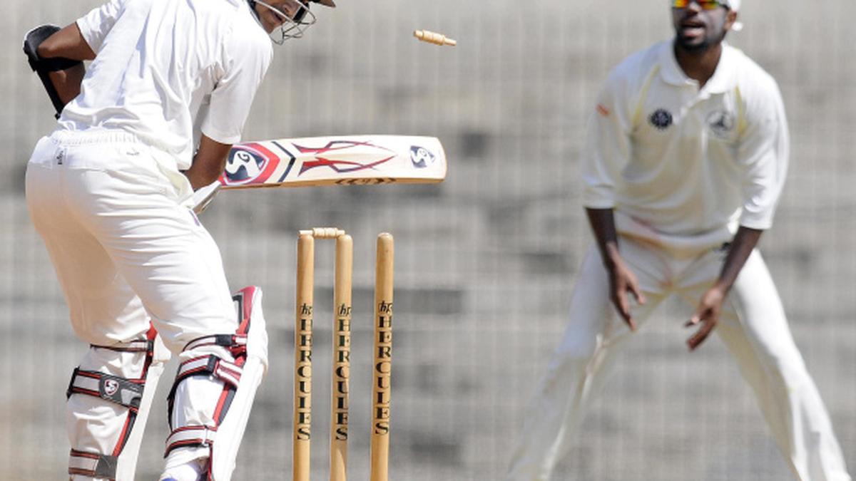 Balaji and Malolan give Tamil Nadu the lead The Hindu