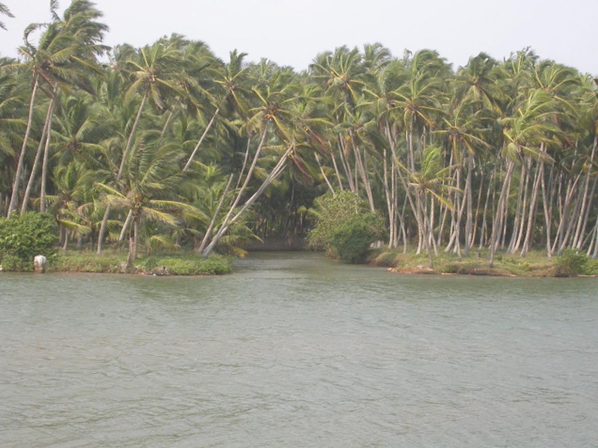 thengapattinam beach