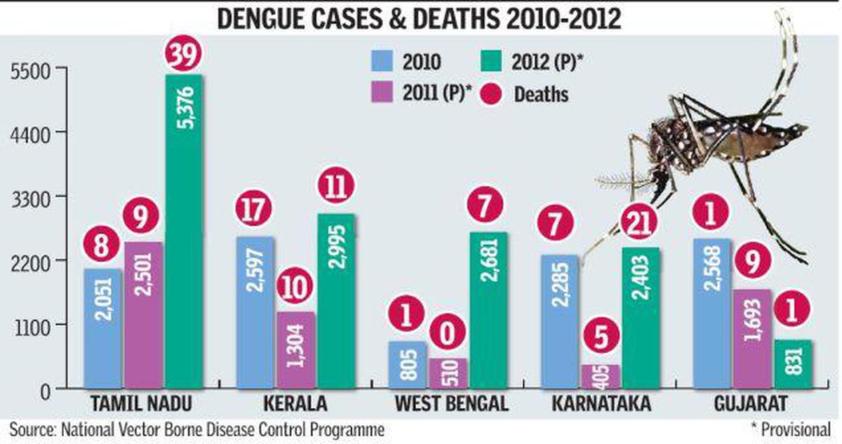 Dengue outbreak in India The Hindu