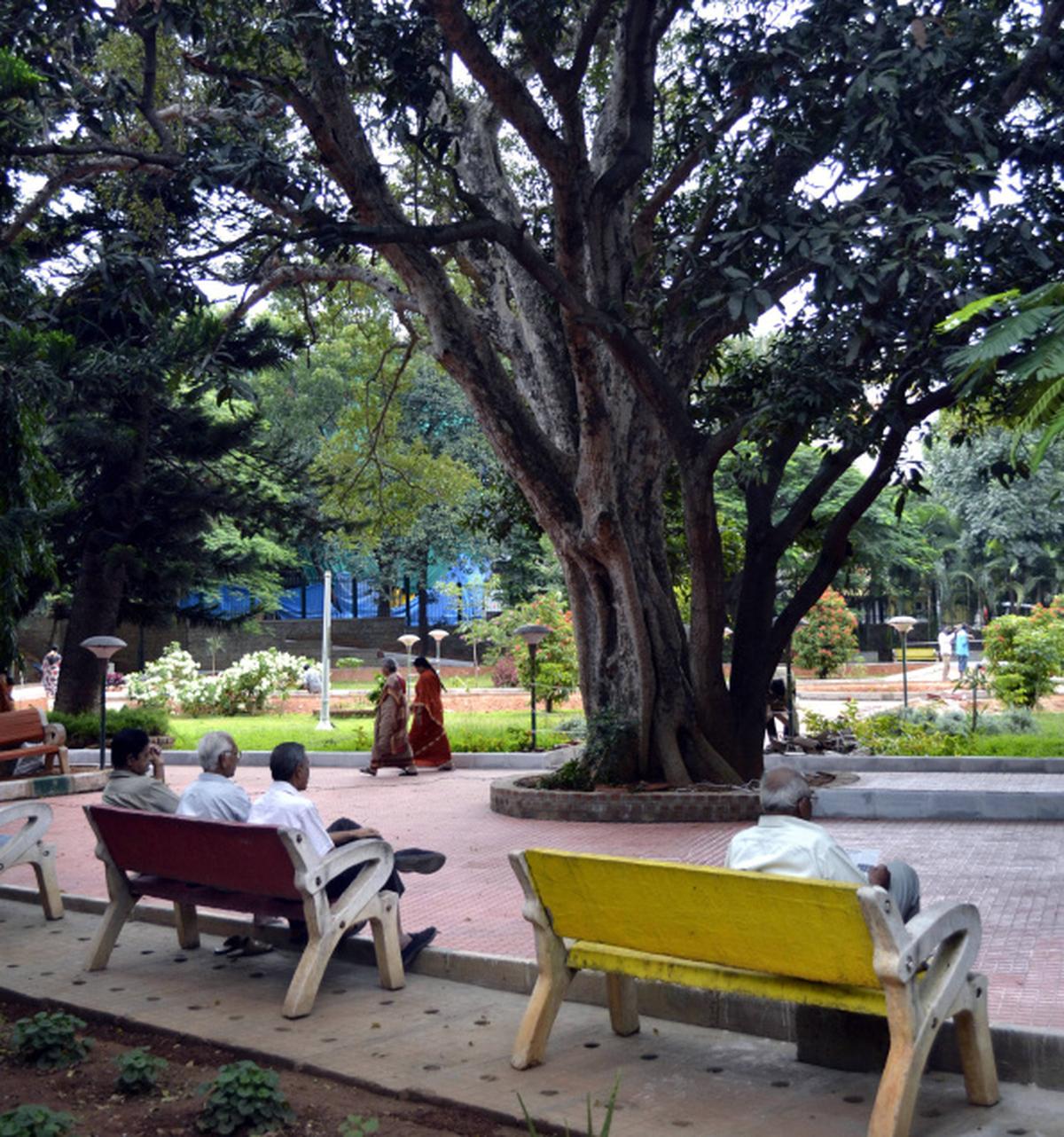 Kumara Park Traces of times past The Hindu
